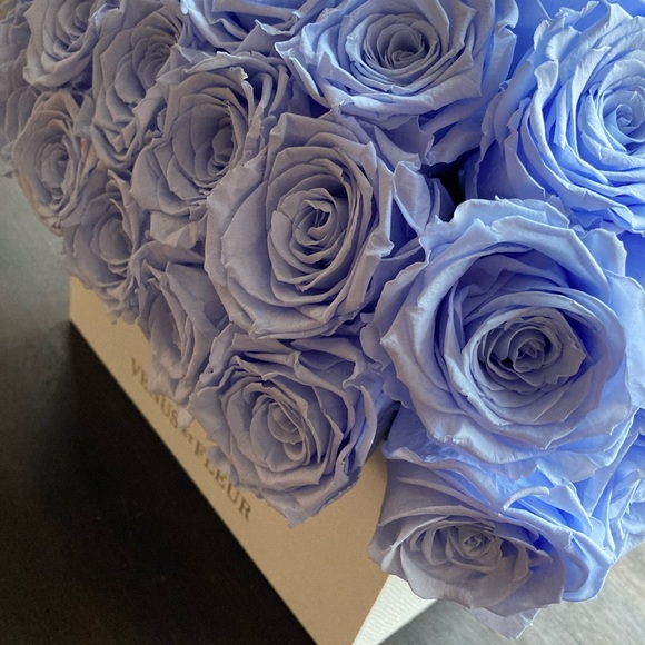 ☆Roses～　 Grande Roses - 24 Roses in East Syracuse NY - Whistlestop